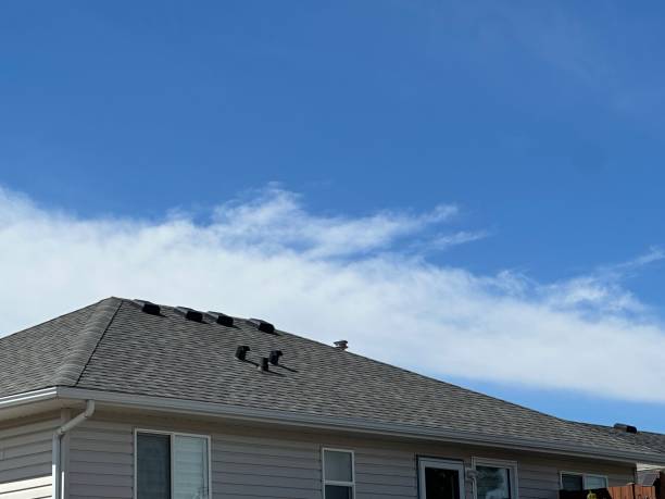 Best Rubber Roofing (EPDM, TPO)  in Chrisman, IL